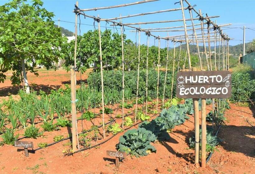 فندق Agroturismo Sa Marina   Adults Only