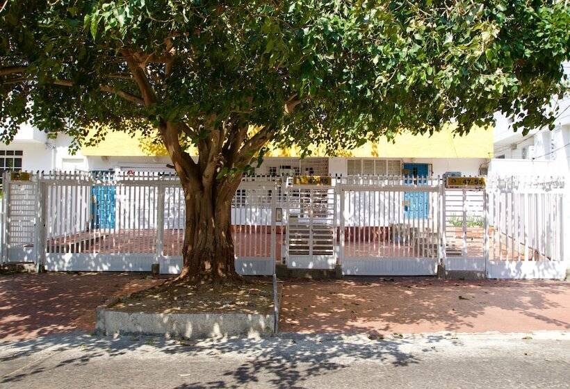 פנסיון Quillahost Guesthouse