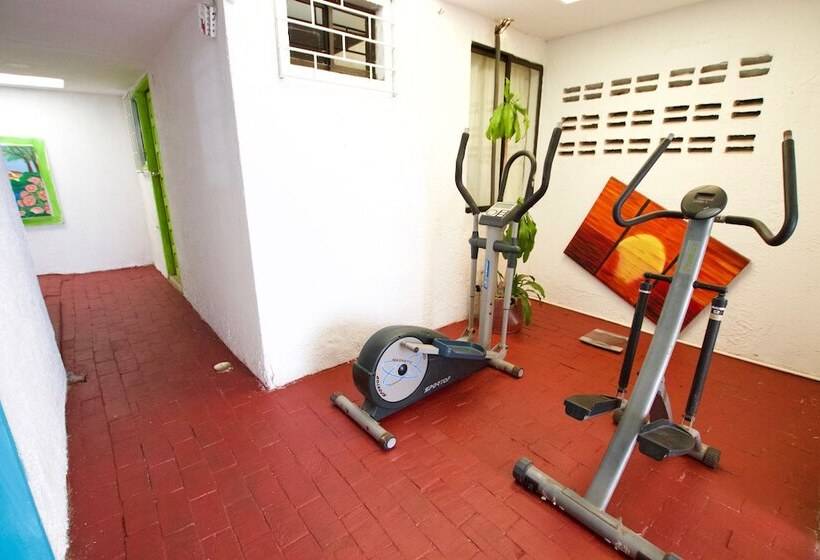 פנסיון Quillahost Guesthouse