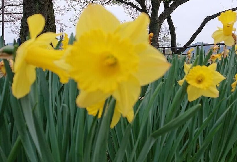 בית מלון כפרי Lake&forest Flower Villa