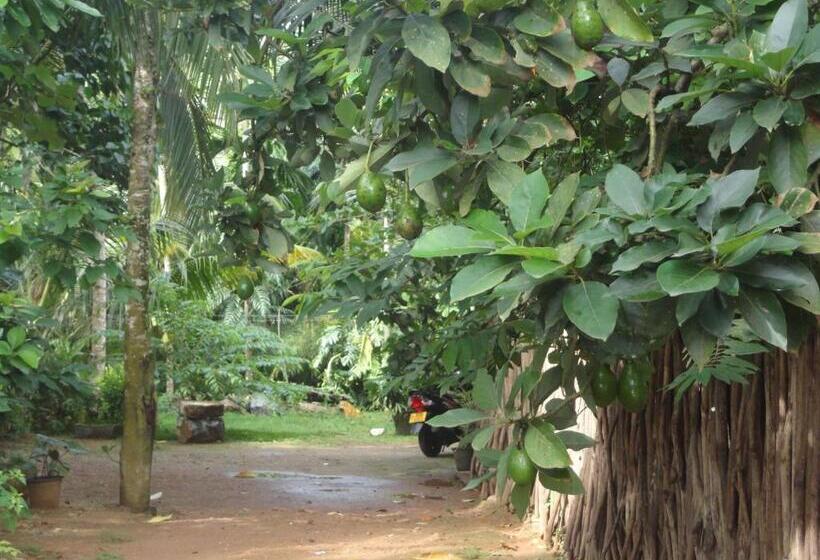 ユースホステル The Green Station