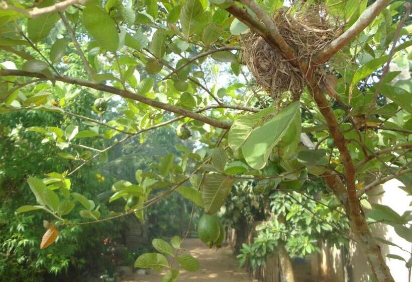 ユースホステル The Green Station