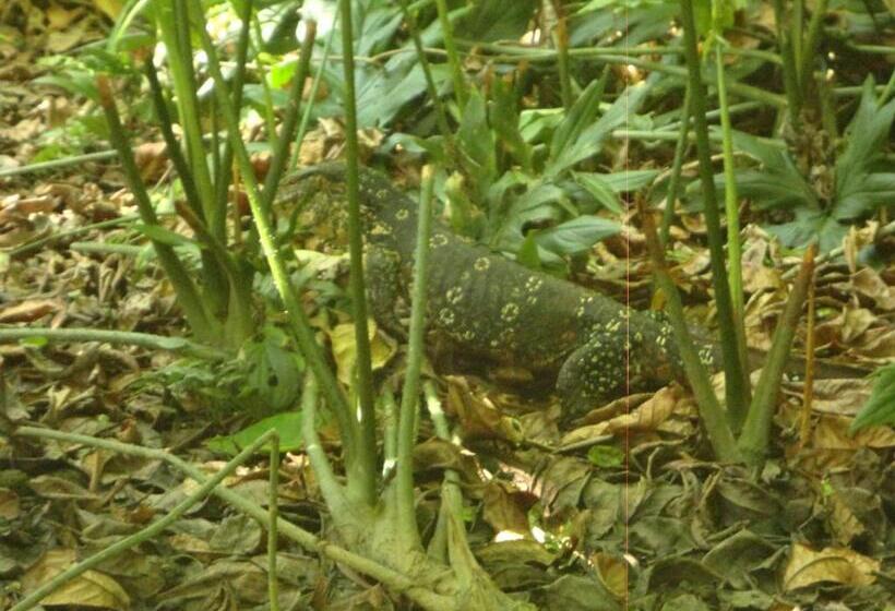 ユースホステル The Green Station