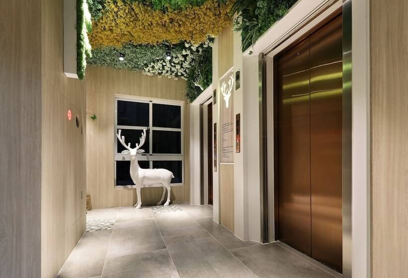 هاستل Mini Hotels