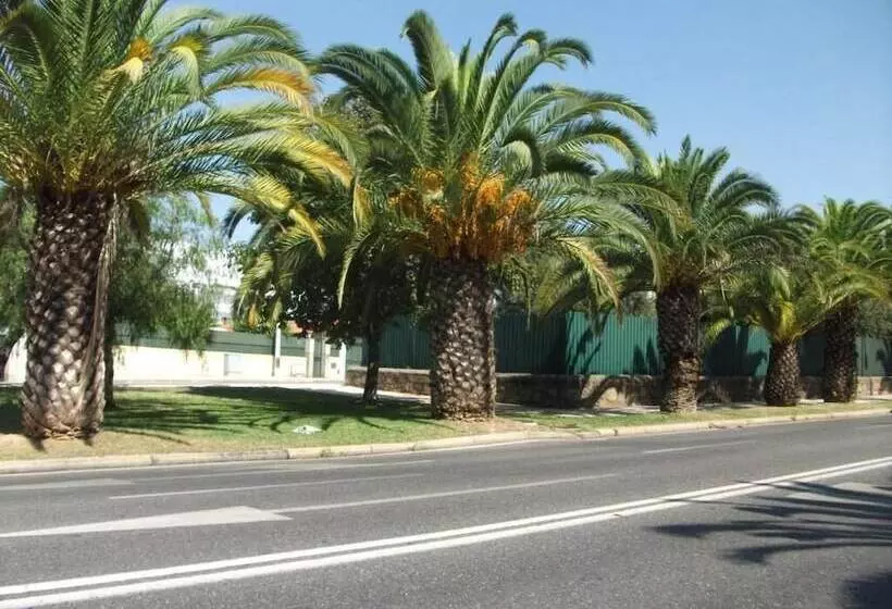 تختخواب و صبحانه Casa Dos Bordados