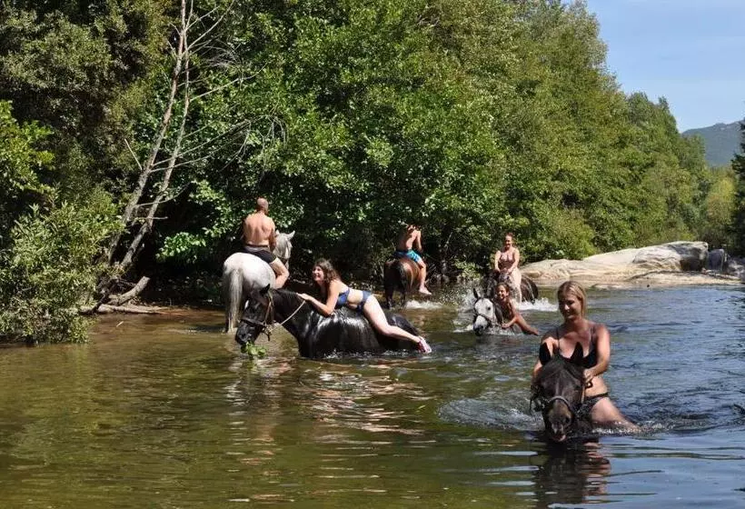Aamiaismajoitus (B&B) Maison D'hôtes De Charme De Croccano