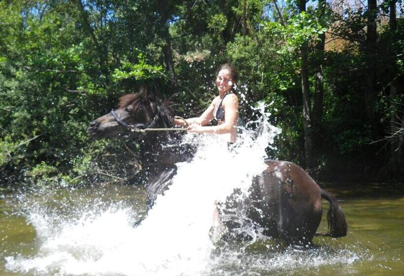 تختخواب و صبحانه Maison D'hôtes De Charme De Croccano