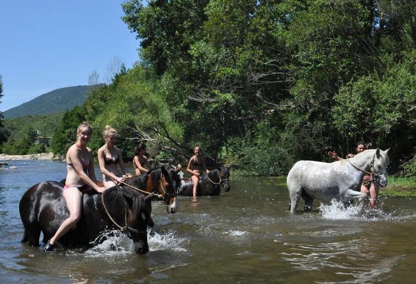 تختخواب و صبحانه Maison D'hôtes De Charme De Croccano
