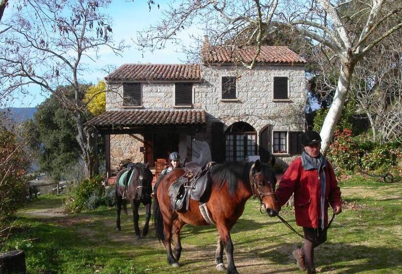 تختخواب و صبحانه Maison D'hôtes De Charme De Croccano
