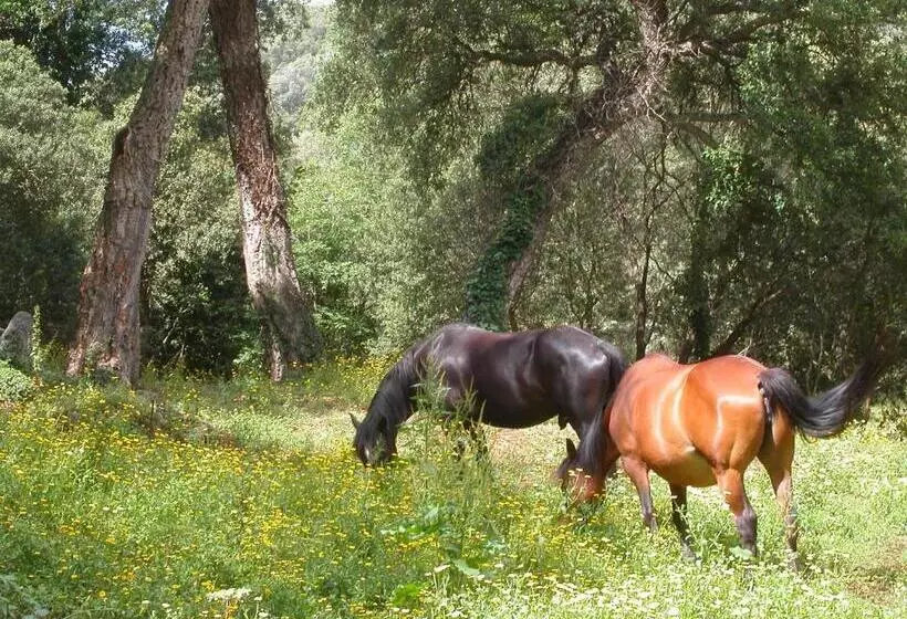 Aamiaismajoitus (B&B) Maison D'hôtes De Charme De Croccano