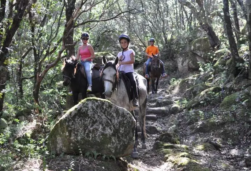 Aamiaismajoitus (B&B) Maison D'hôtes De Charme De Croccano