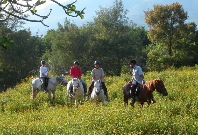 تختخواب و صبحانه Maison D'hôtes De Charme De Croccano