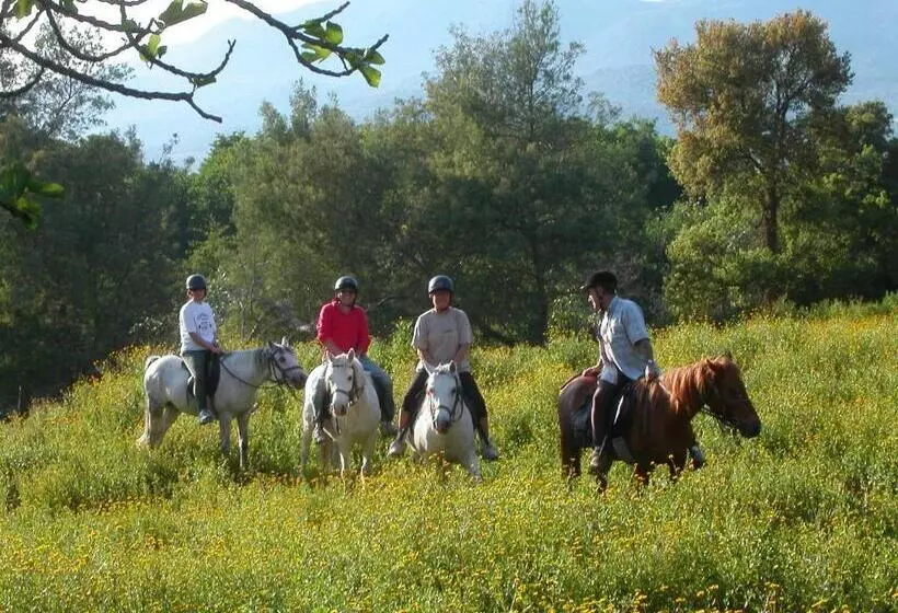 Aamiaismajoitus (B&B) Maison D'hôtes De Charme De Croccano