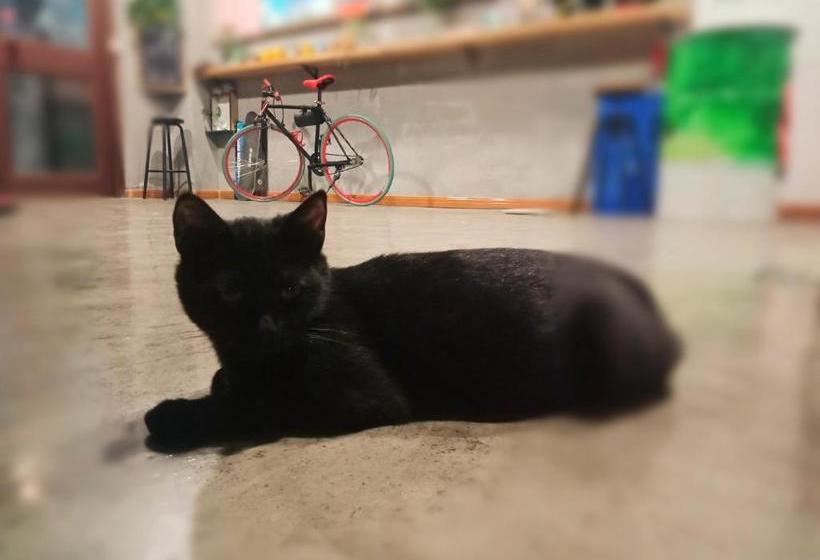 فندق Simon Coffee Hostel