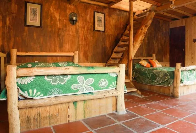 ペンション Cabañas La Roca