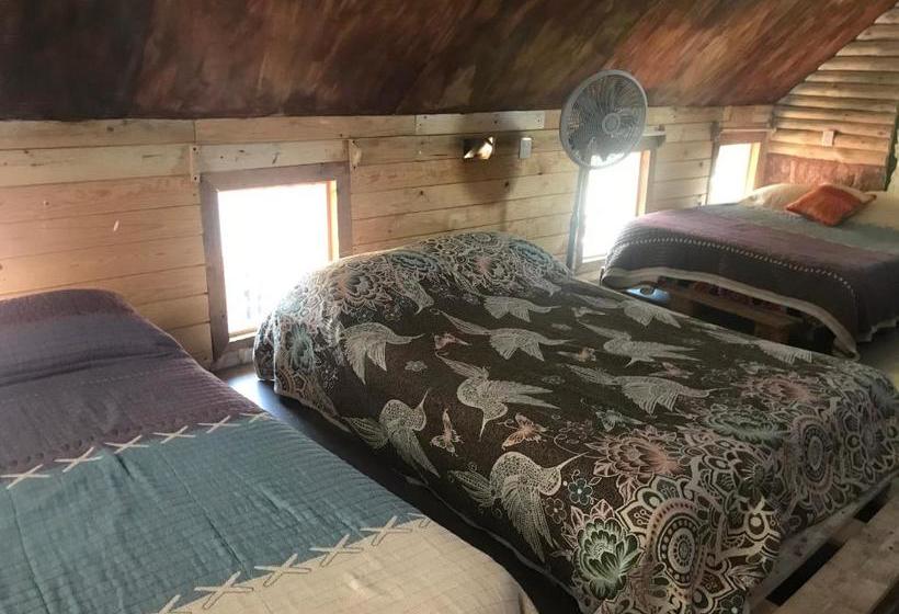 Пансион Cabañas La Roca