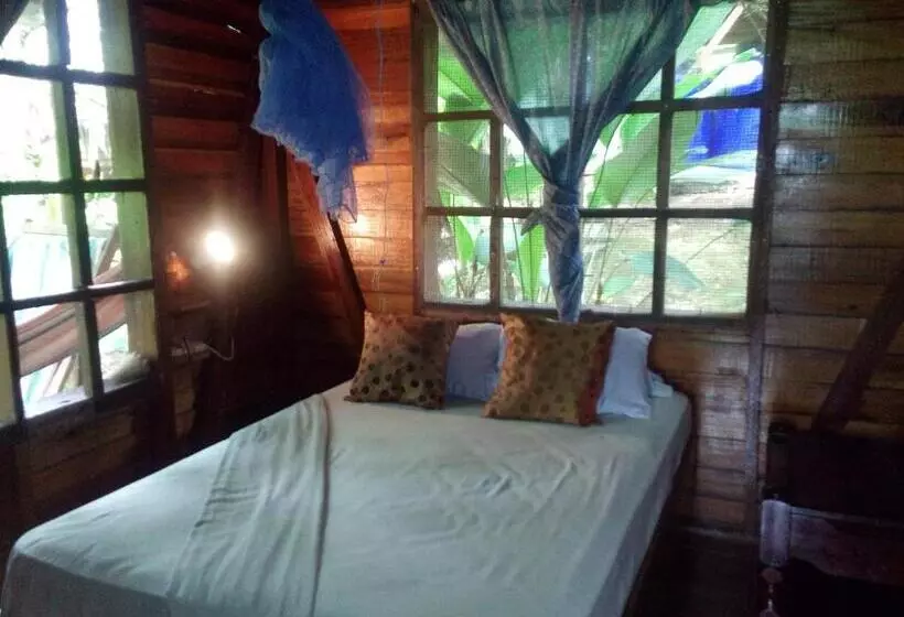 ユースホステル Beverly's Hill Guest House