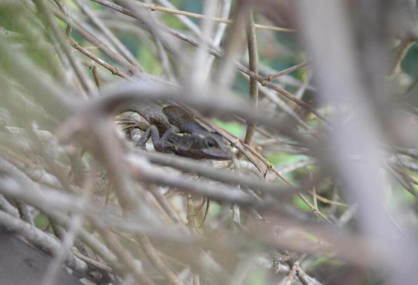 هاستل Beverly's Hill Guest House