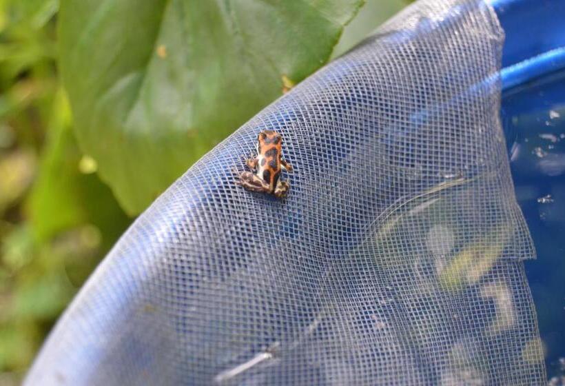 هاستل Beverly's Hill Guest House