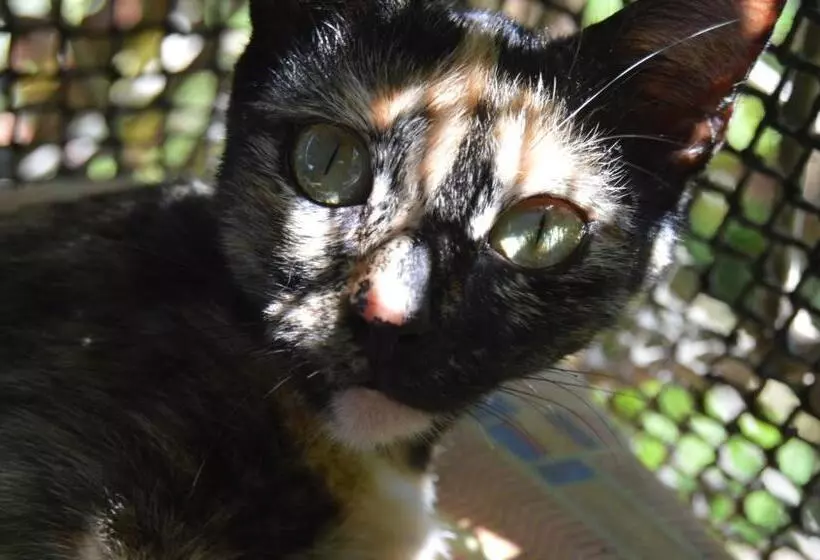 ユースホステル Beverly's Hill Guest House