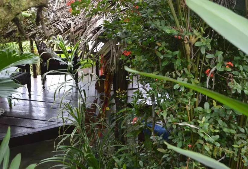 ユースホステル Beverly's Hill Guest House