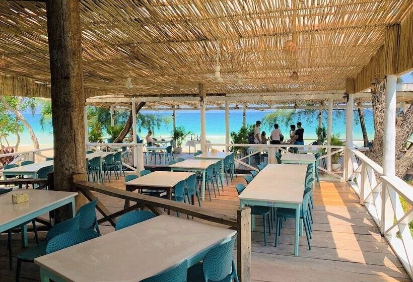 בית מלון כפרי Tube Resort