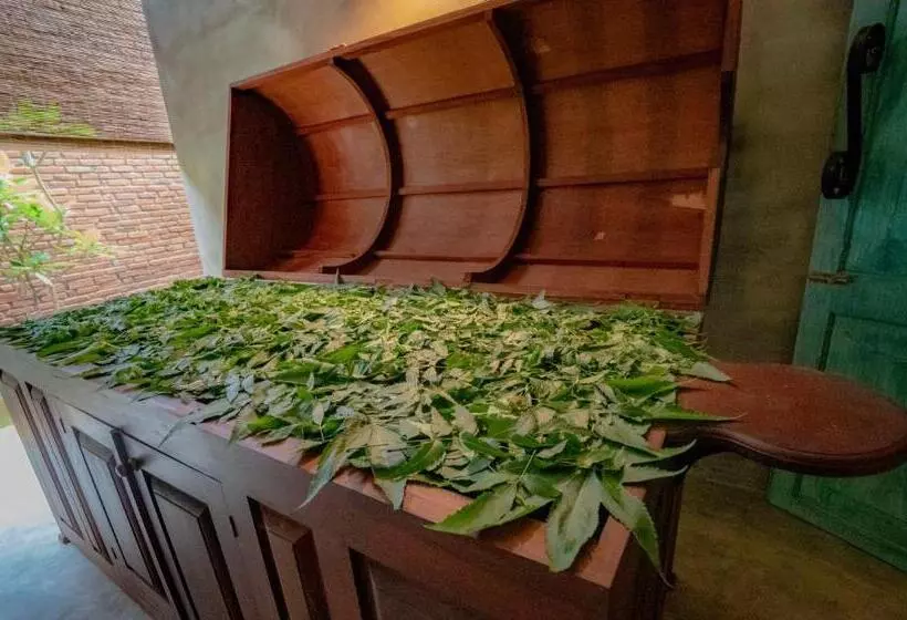 Ayur Ayur Resort & Ayurveda Retreat