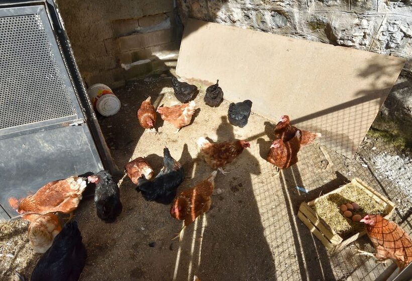 هتل Agriturismo Il Colle