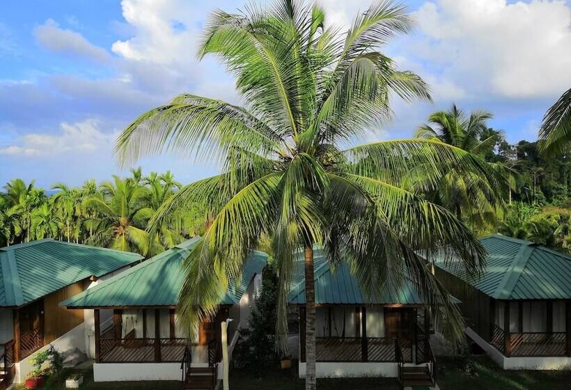 هتل Rainforest Resort