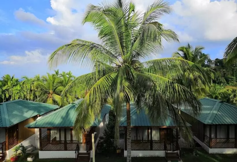هتل Rainforest Resort