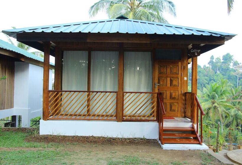 هتل Rainforest Resort