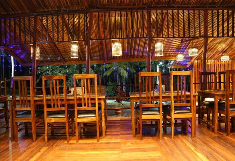 هتل Rainforest Resort