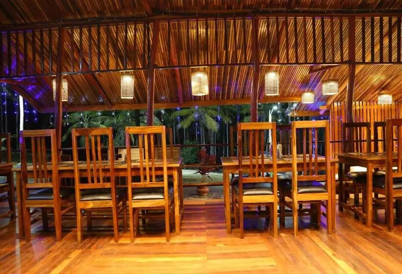 هتل Rainforest Resort