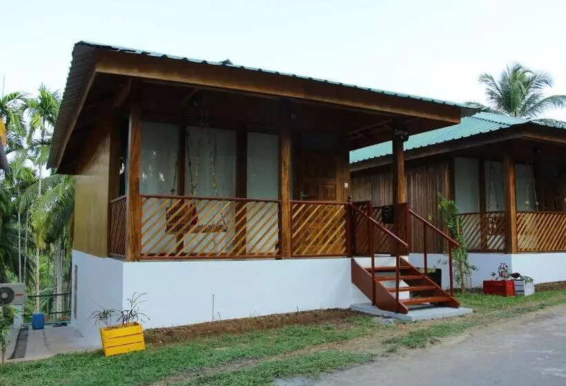 هتل Rainforest Resort