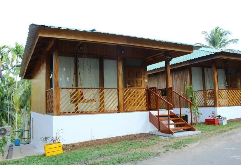 هتل Rainforest Resort