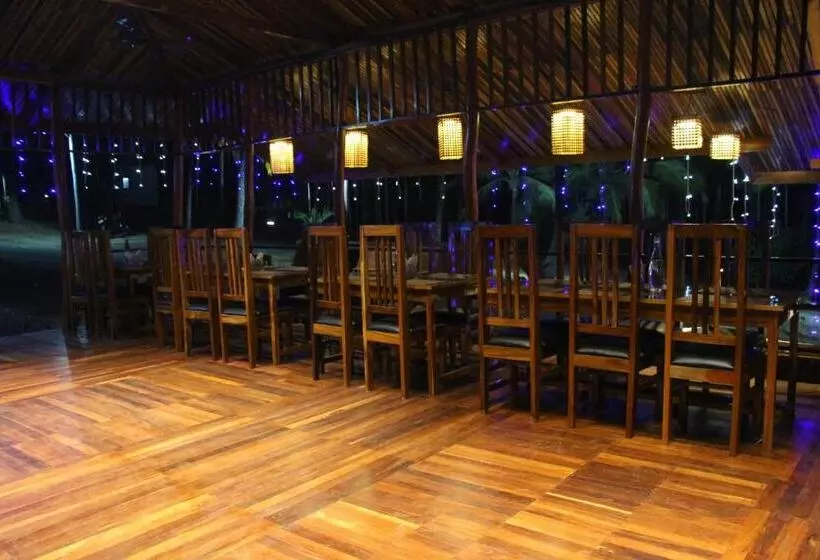هتل Rainforest Resort