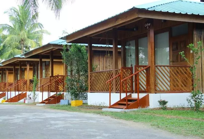 هتل Rainforest Resort
