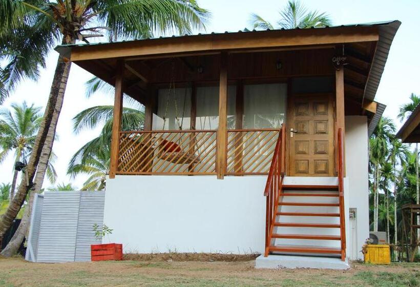 هتل Rainforest Resort