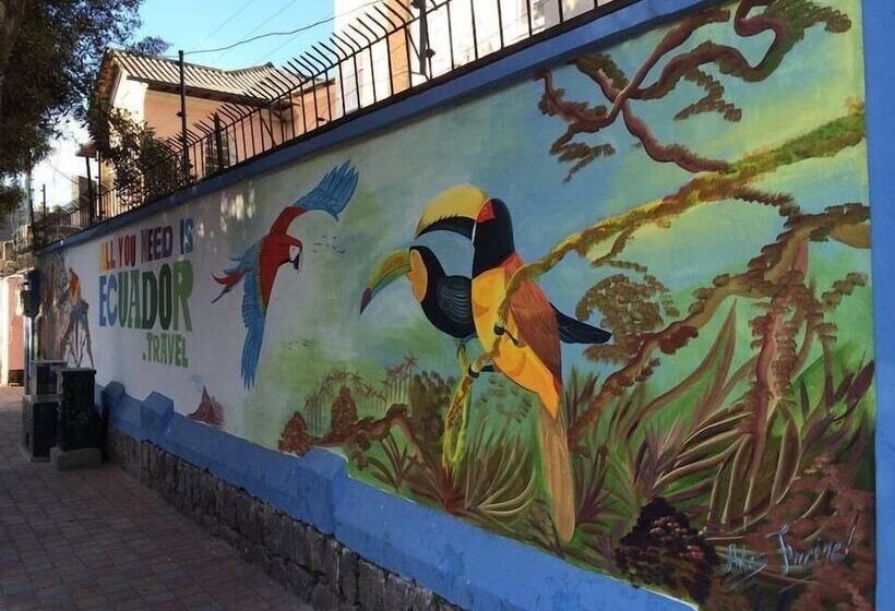 Panzió Hostal Volunteer House