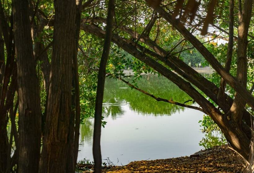 پانسیون Nomad Beach House   Hostel