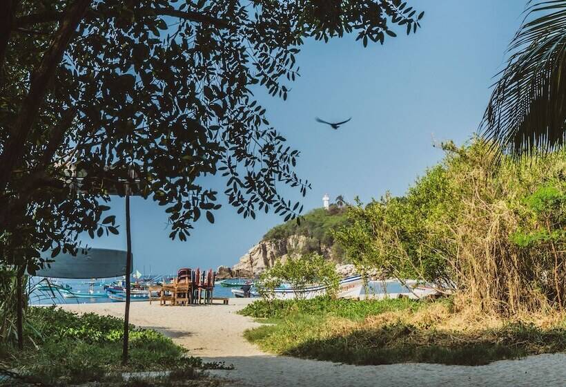 پانسیون Nomad Beach House   Hostel