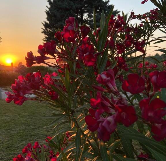 مبيت وإفطار Villa Rina