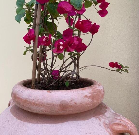 مبيت وإفطار Villa Rina