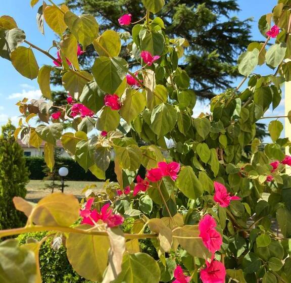 مبيت وإفطار Villa Rina