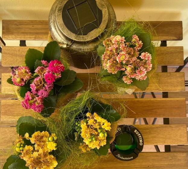 مبيت وإفطار Villa Rina