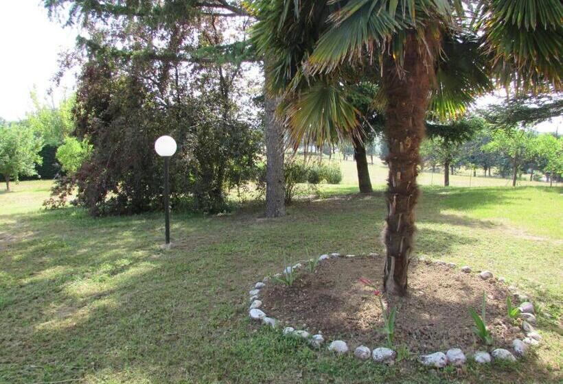 مبيت وإفطار Villa Rina