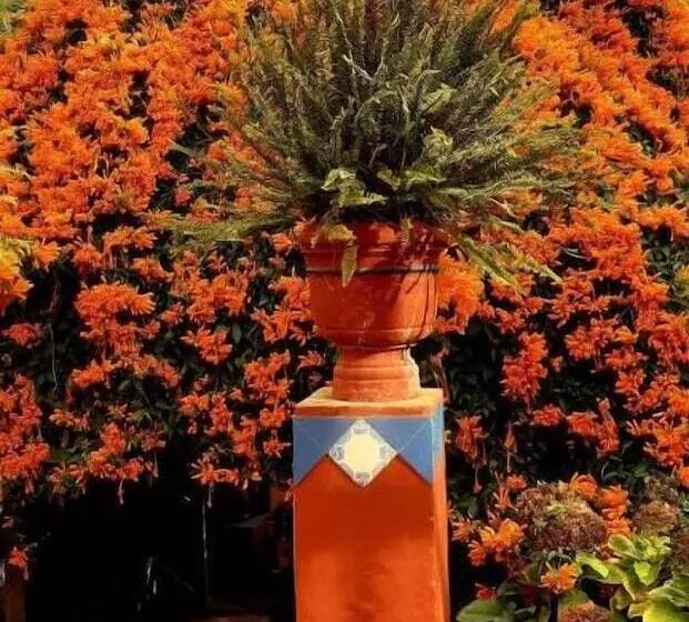 ホテル Finca La Principal