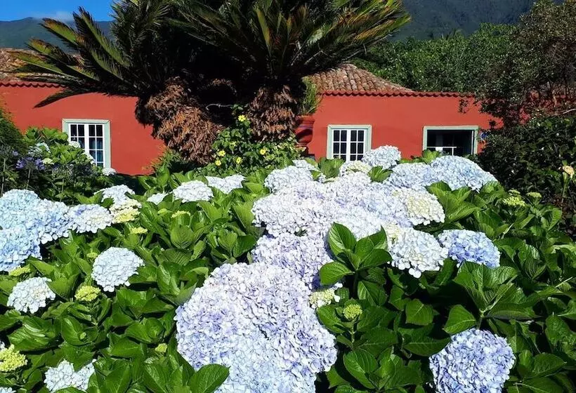 ホテル Finca La Principal