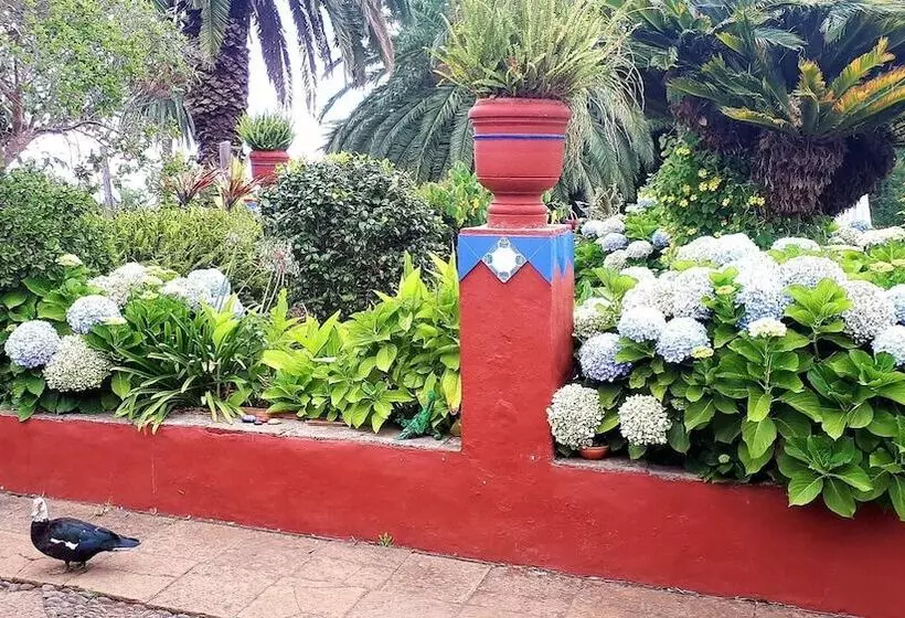 ホテル Finca La Principal