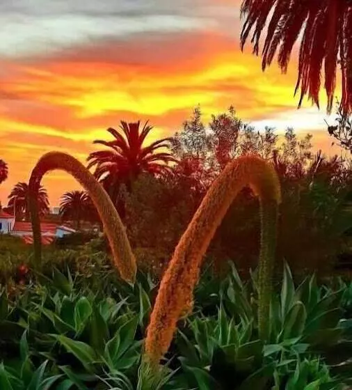 ホテル Finca La Principal